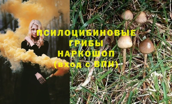 спайс Пролетарск