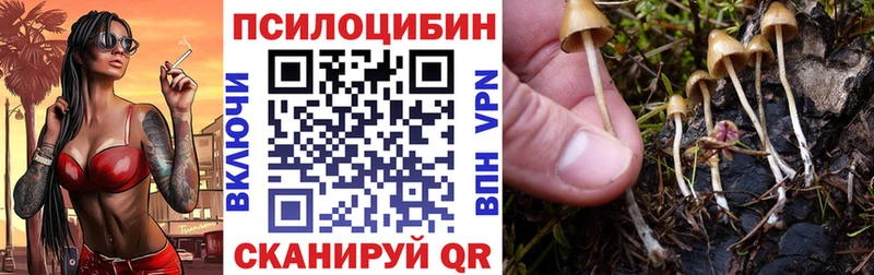 Купить  Переславль-Залесский  Галлюциногенные грибы Cubensis 